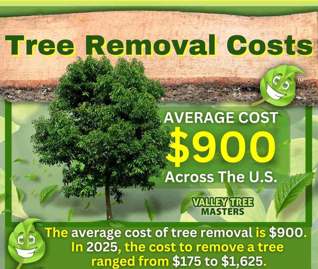 Average Tree Removal Cost