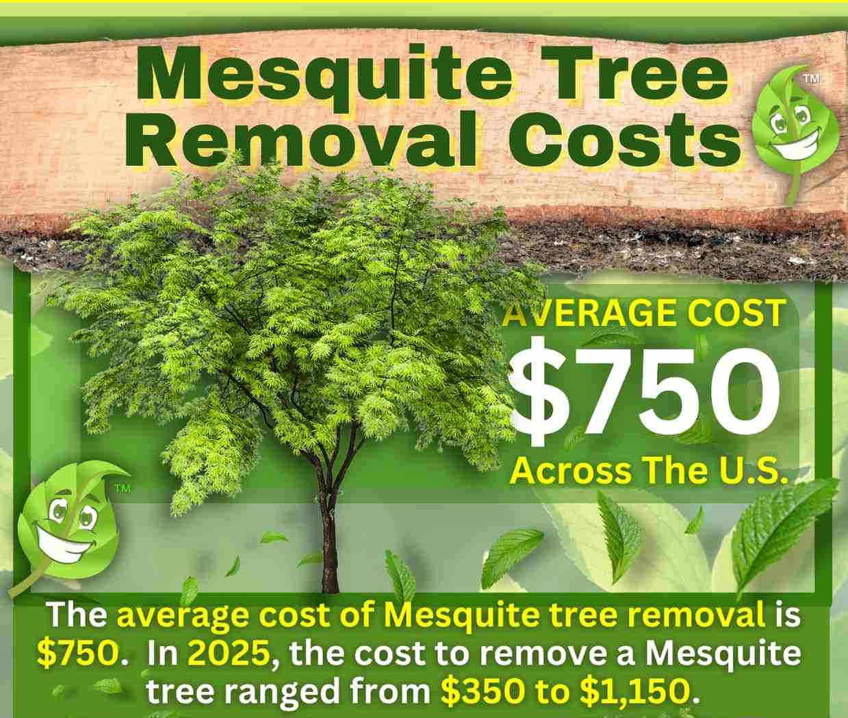 Mesquite Tree Removal Cost