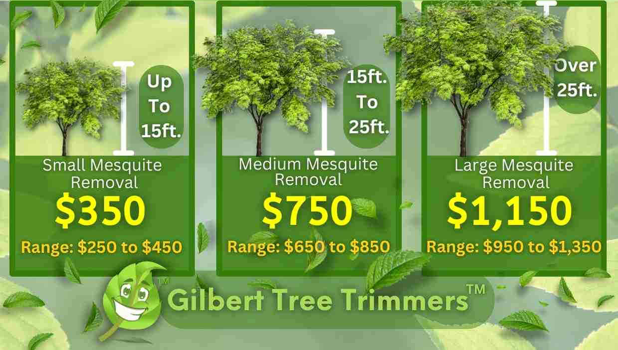 Mesquite Tree Removal Cost