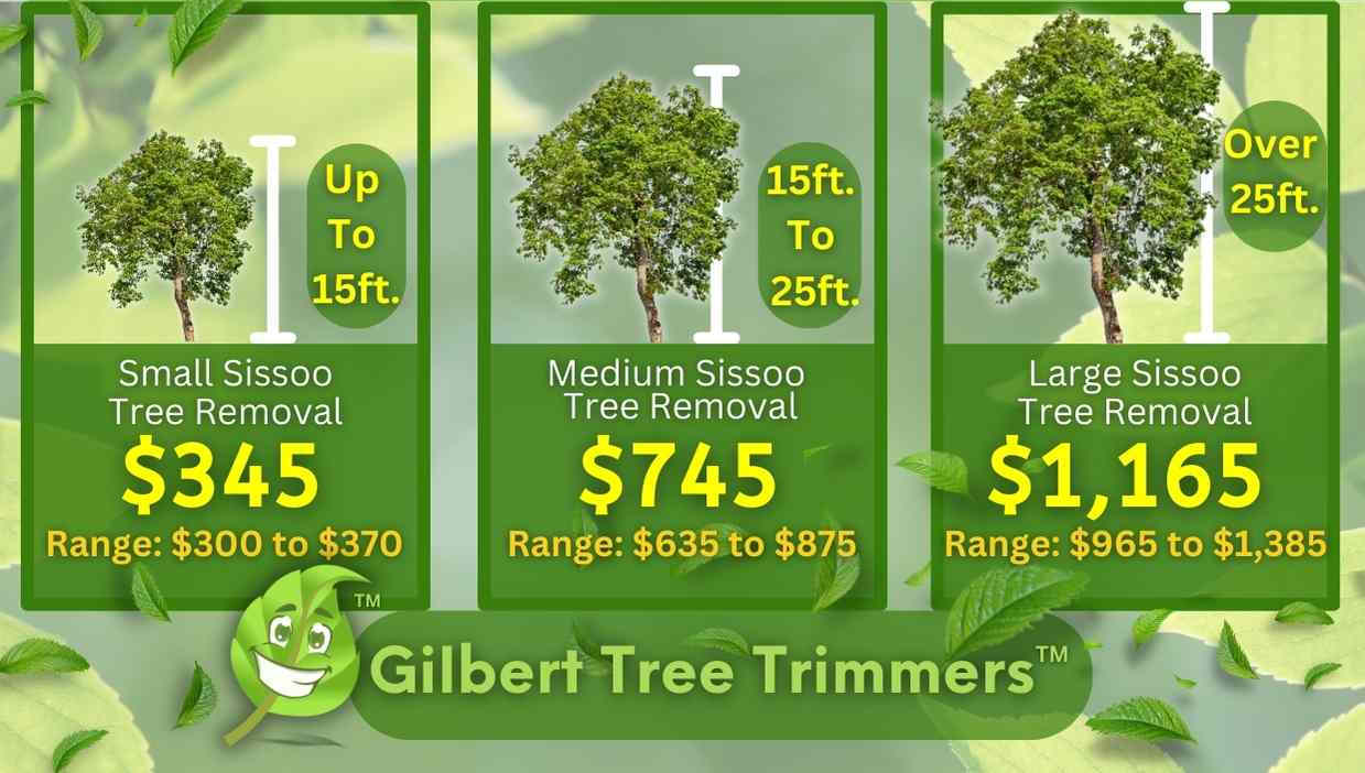 Sissoo Tree Removal Cost