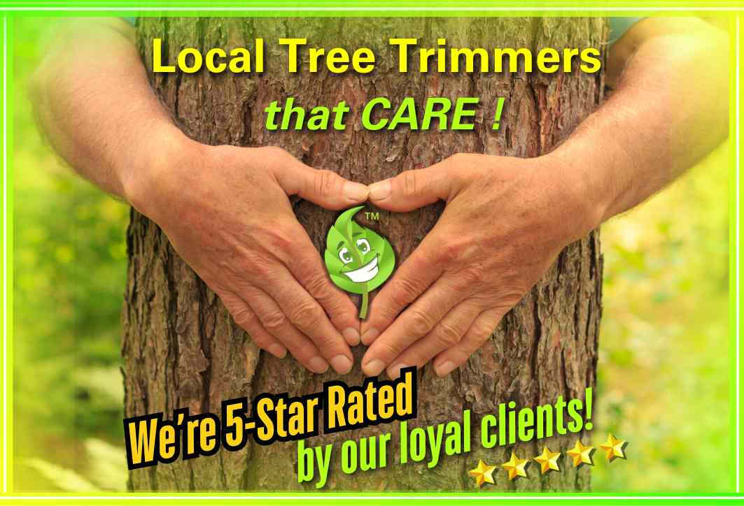 Local Tree Trimmers